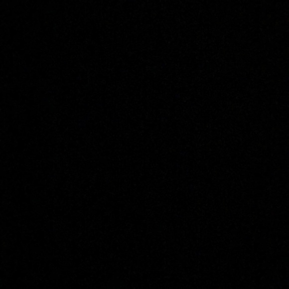 Meet your Posher, Bella - Picture 1 of 1